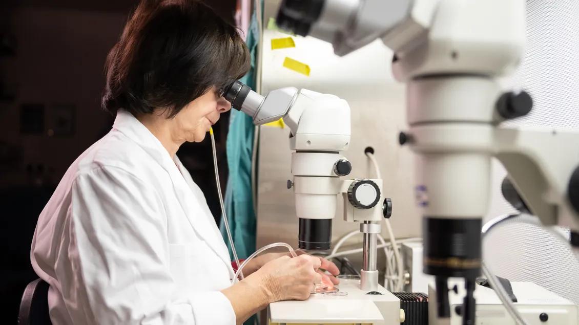 researcher working in lab