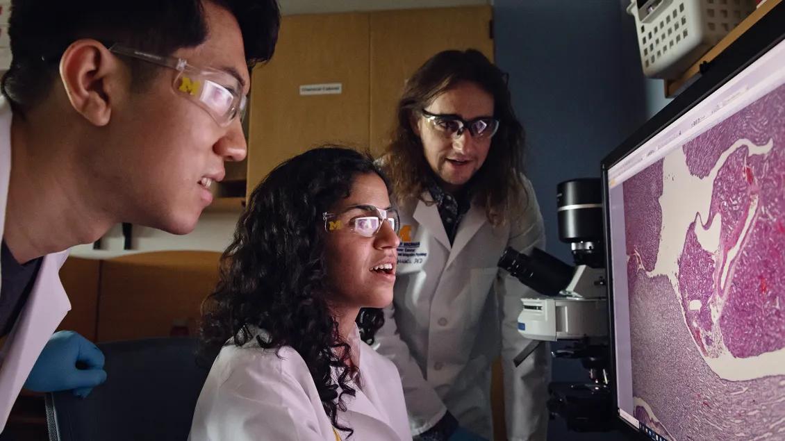 Photo of students looking at patient lab work