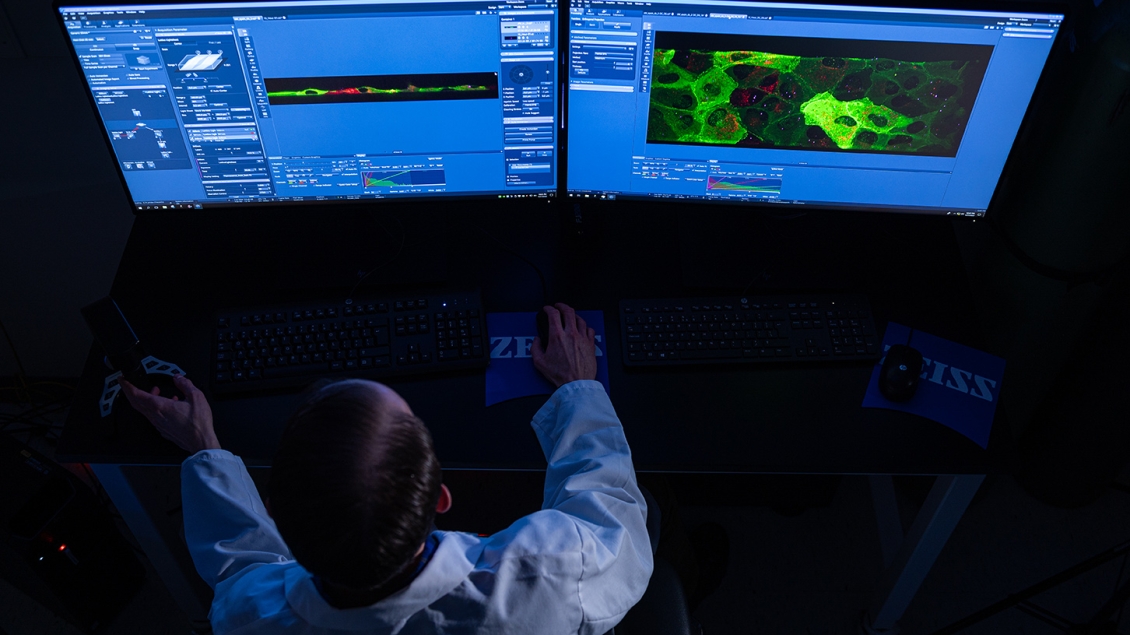 Photo of a male researcher sitting in front of a computer looking at light microscopy imaging 