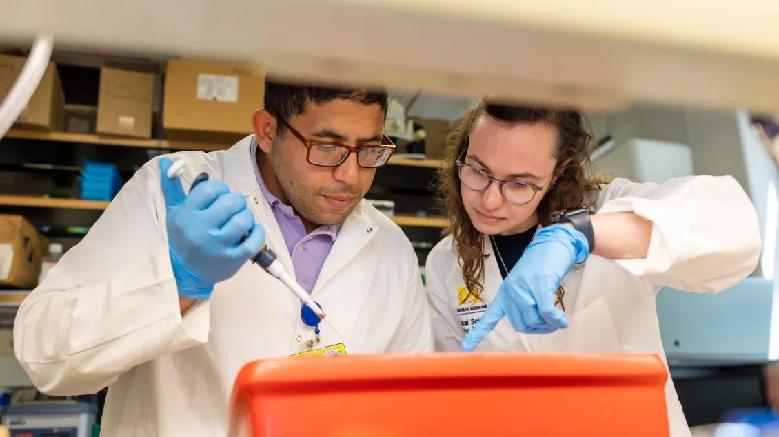 Trainees working together in a lab 