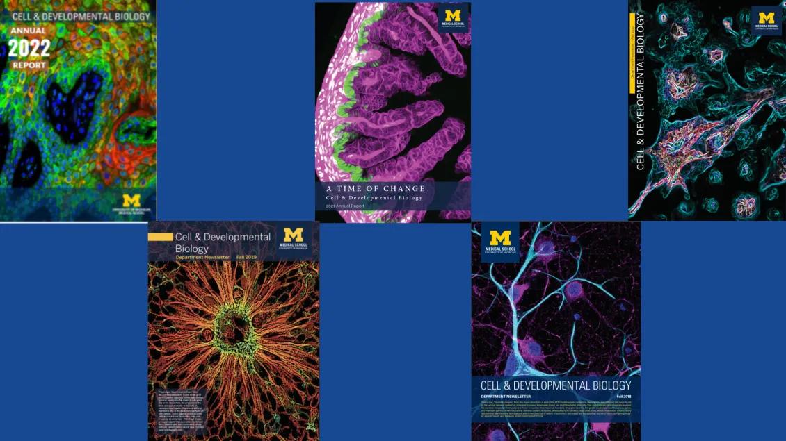 collage of cdb annual report newsletters