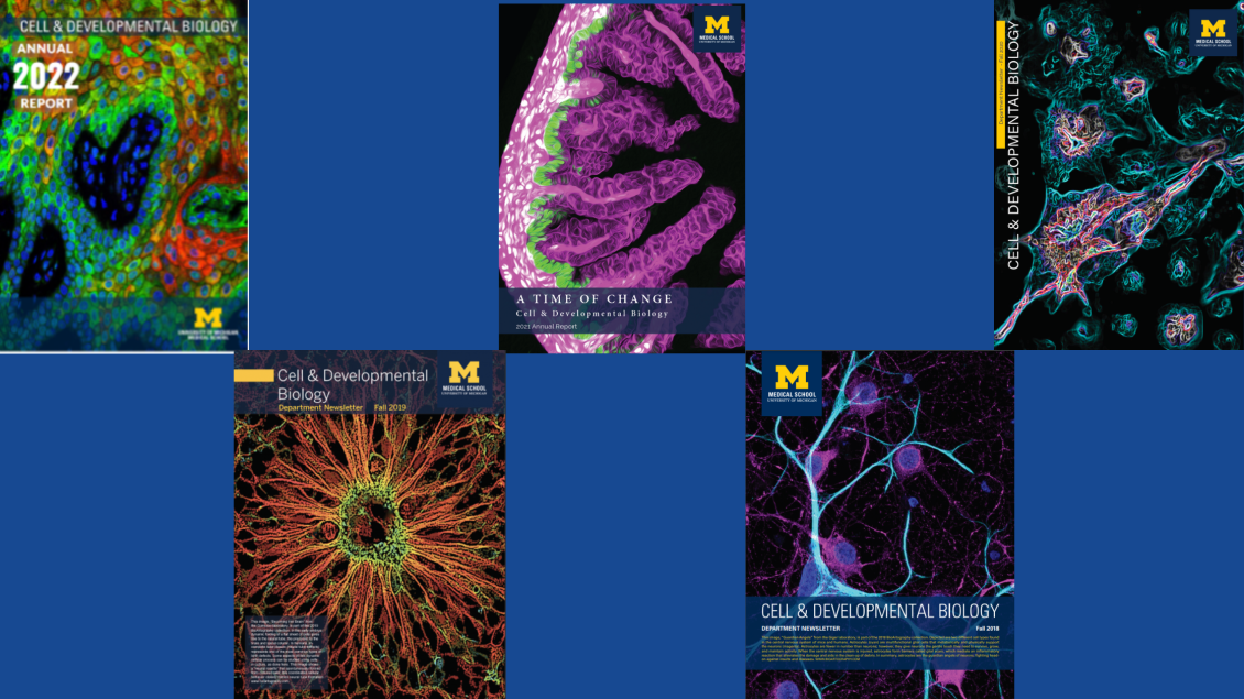 collage of cdb annual report newsletters