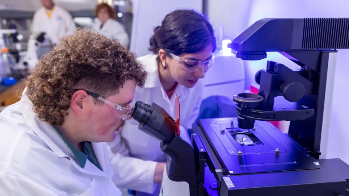 two researchers looking through microscope 
