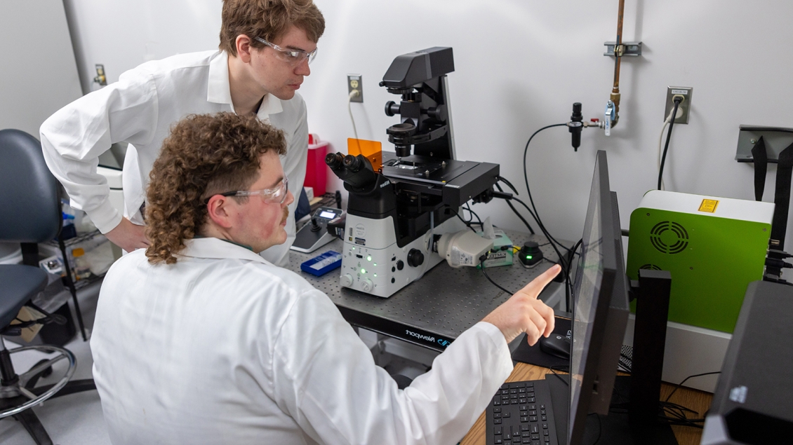 two researchers working in a lab