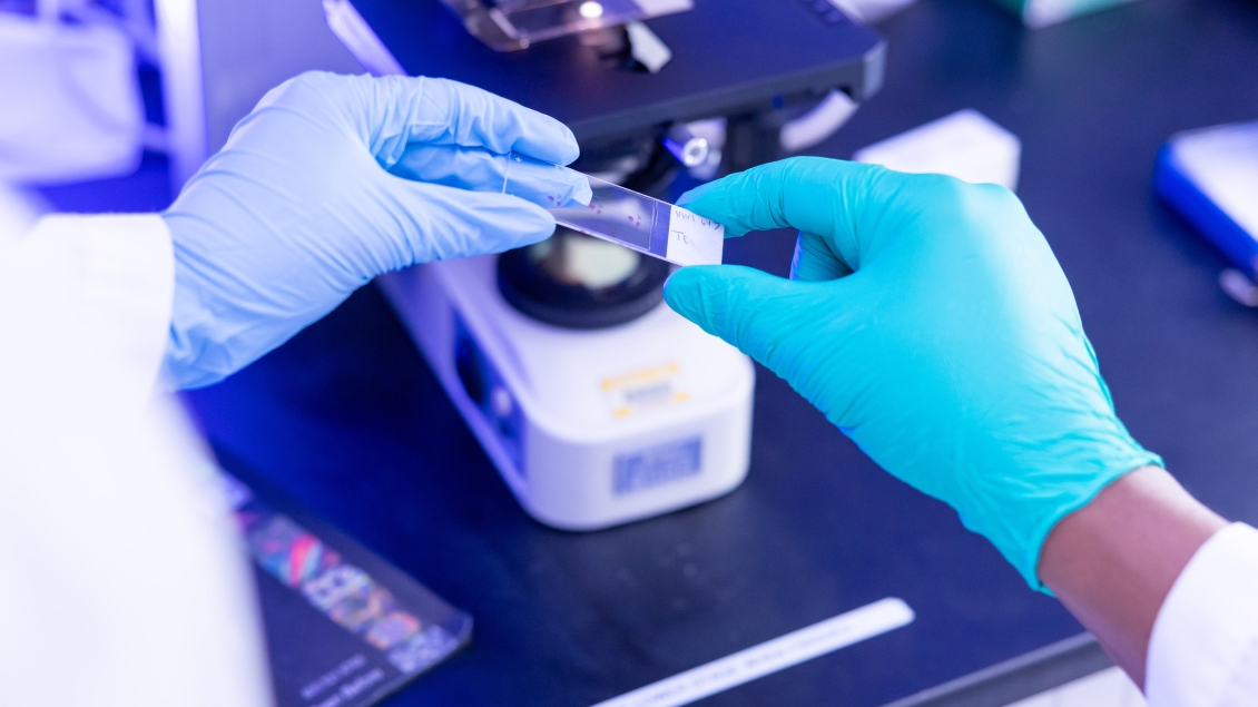 Two gloved hands hold a microscope slide above a lab bench with a microscope in the background.