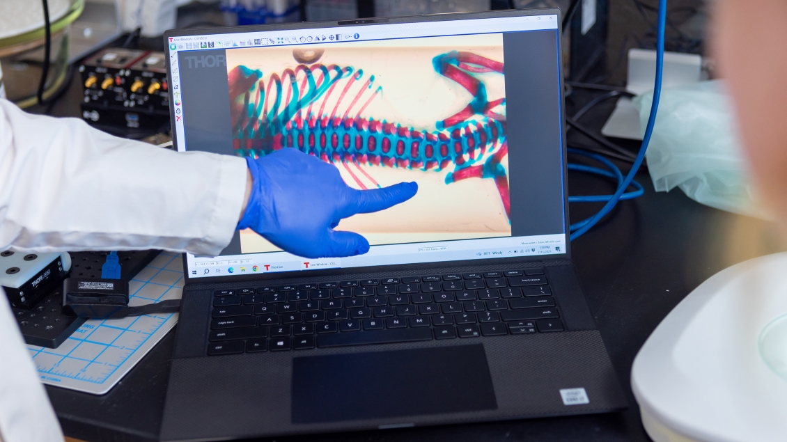 a hand pointing at a computer screen