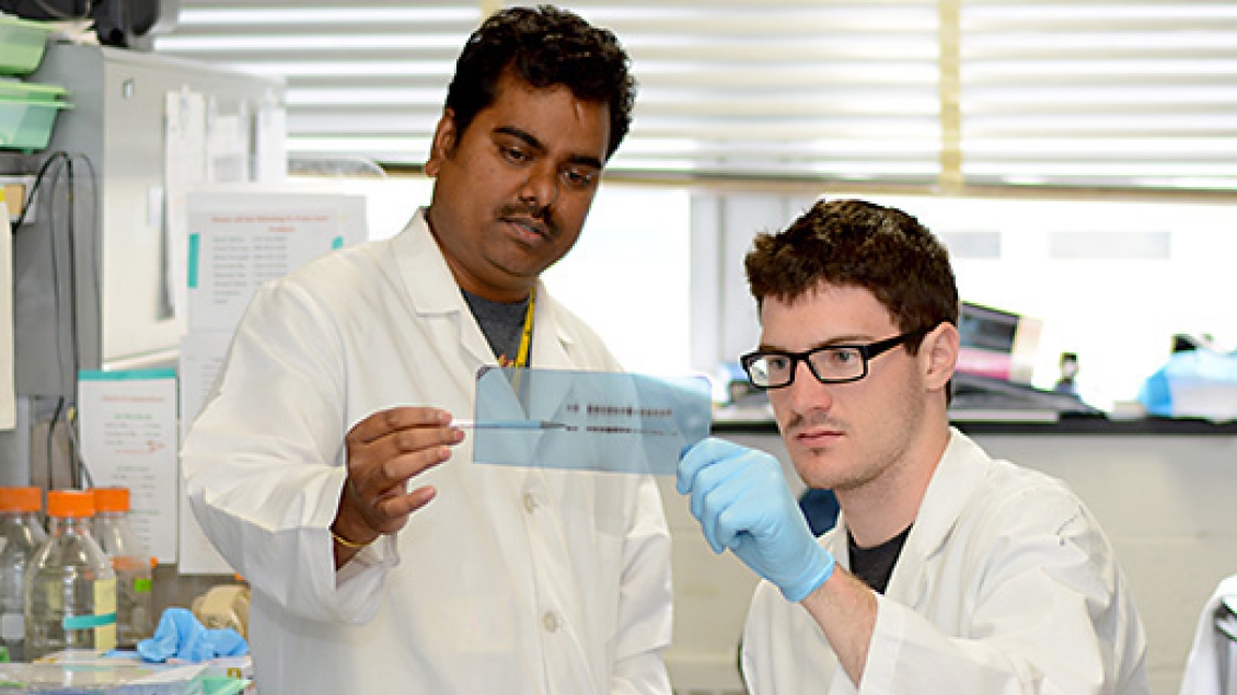 Radiation Oncologists examine a slide