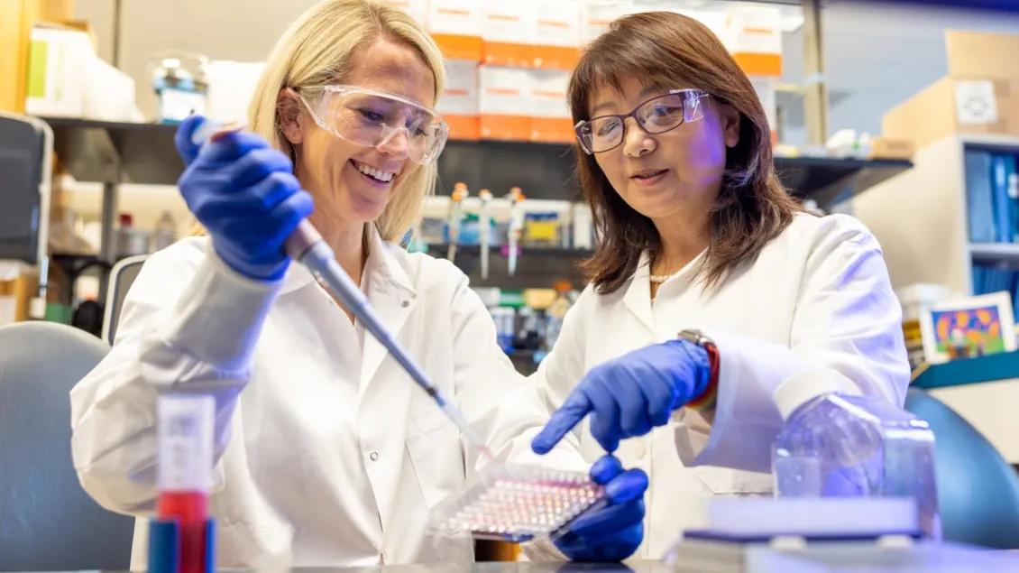 Pharmacology researchers work in the Isom Lab