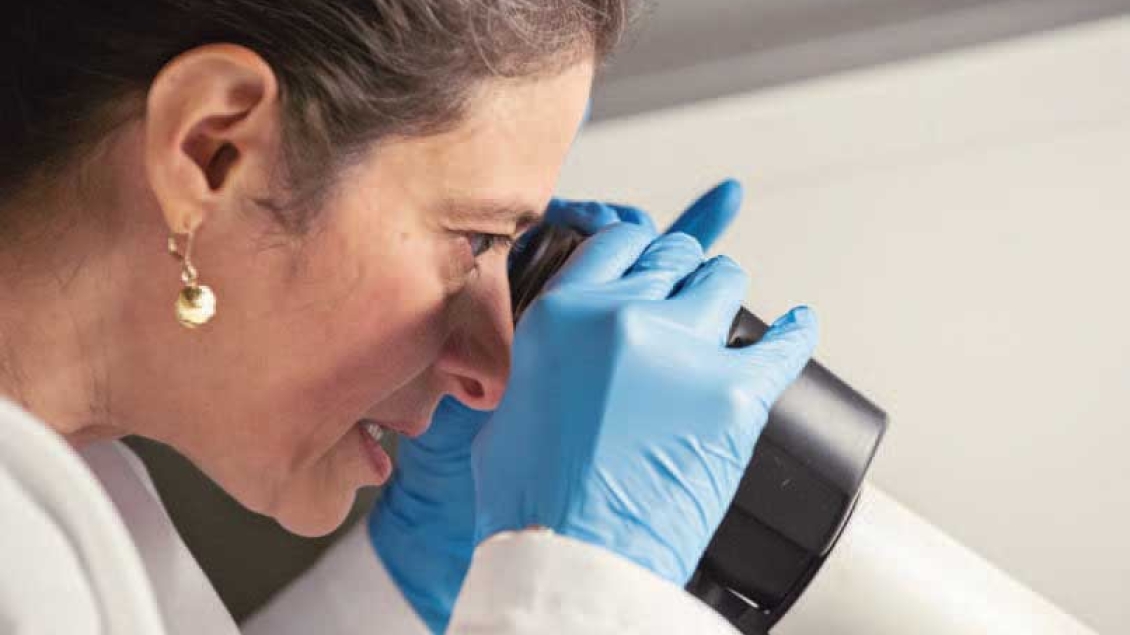 A female researcher looks through a microscope