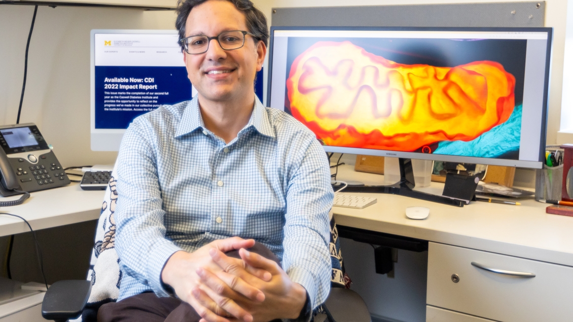 Scott Soleimanpour, M.D., sits in front of a computer screen picturing beta cells