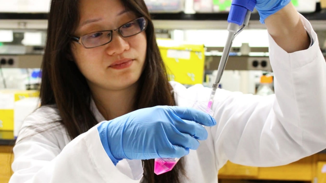 A person working with lab equipment