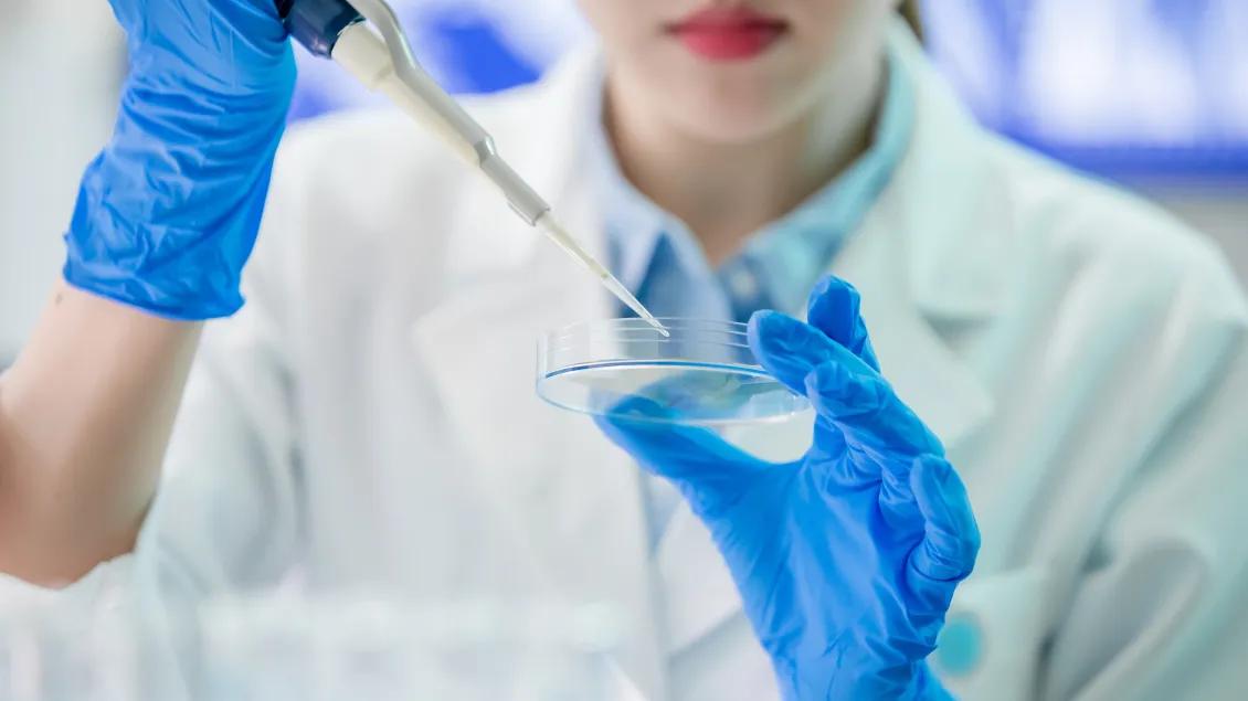 Close-up of female technician placing specimen in petri dish