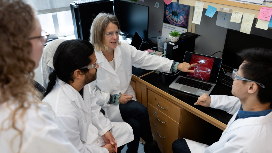 Group of researchers in lab coats analyzing data on computer screen