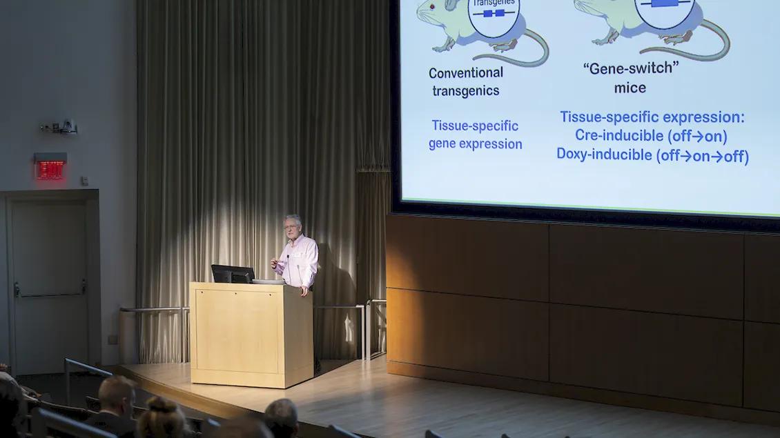 Man lecturing at a podium in a darkened auditorium