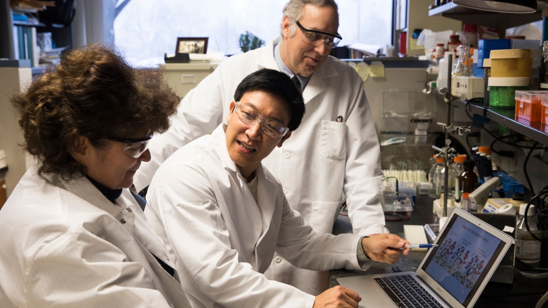 Three researchers working on a laptop