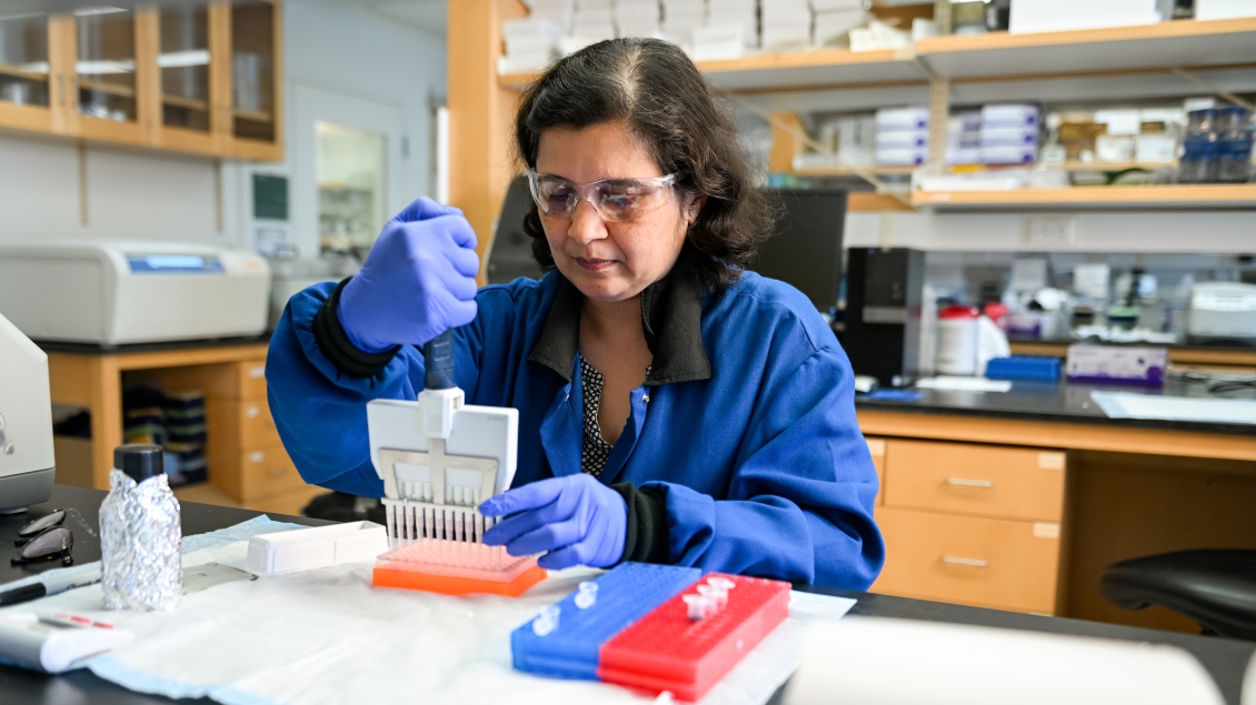 Woman in gallagher lab wearing holding lab equiptment 