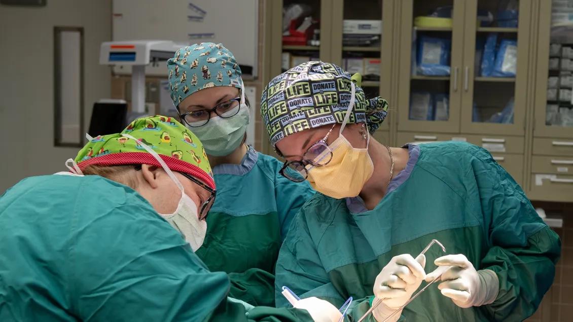 surgeons holding the tools in the OR 