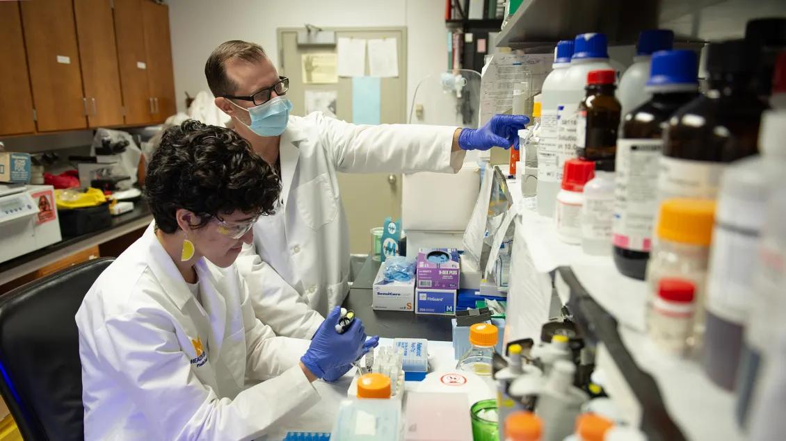 two reachers in white lab coats work in cederna lab 