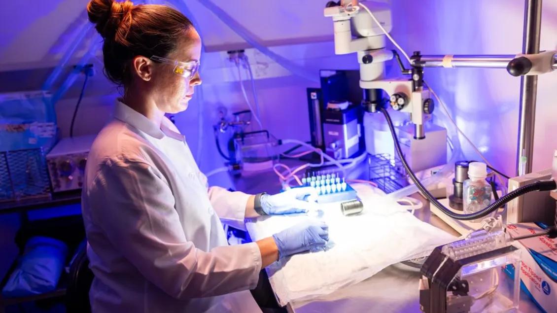woman working in research lab