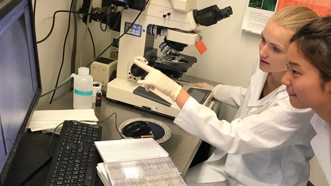 Tauber Family Student Interns working in the lab