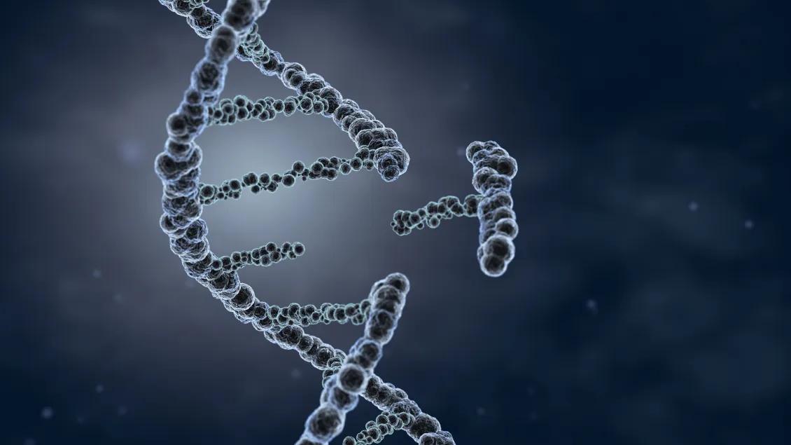 stock photo of gene engineering 