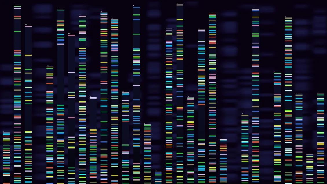 genome data stock photo