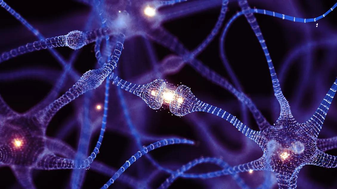 stock photo of a neuron 