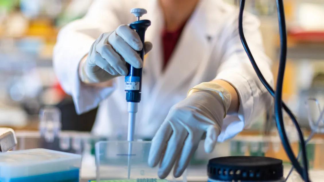 a researcher using a pipette in the NeuroNetwork for Emerging Therapies lab