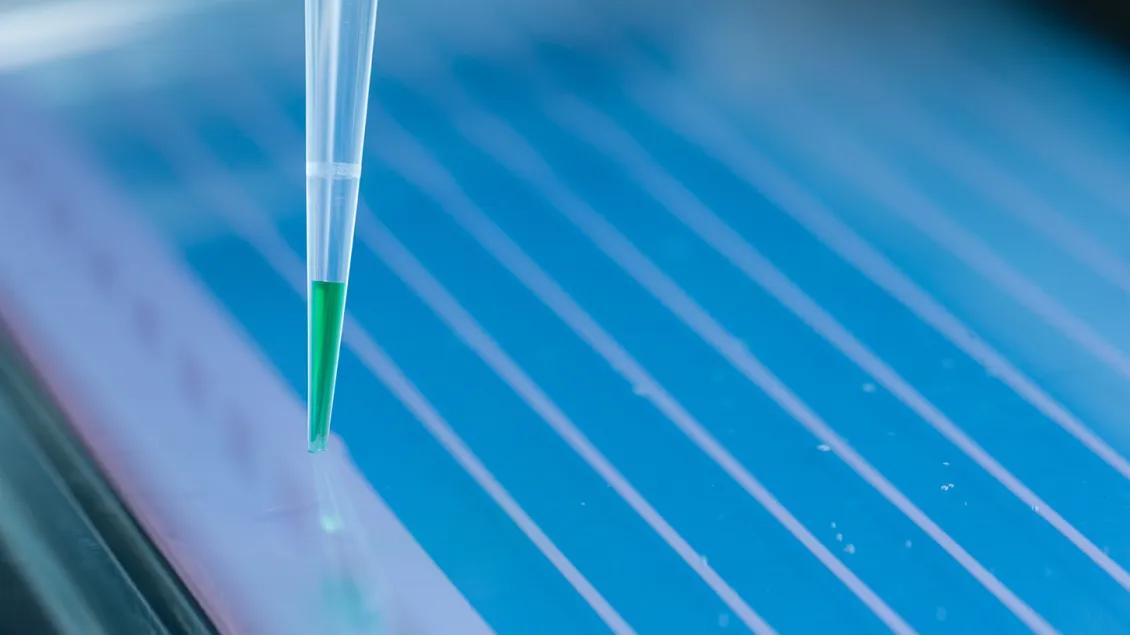 close-up of pipette