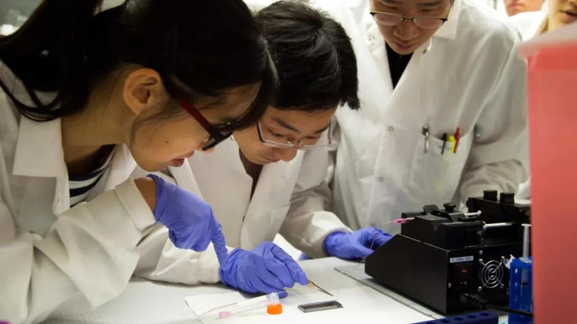 Three people in lab coats working in a laboratory.