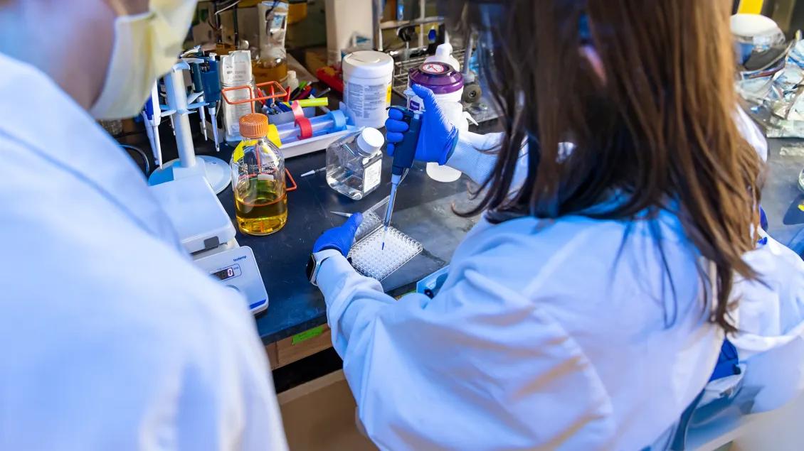 two people working in a lab