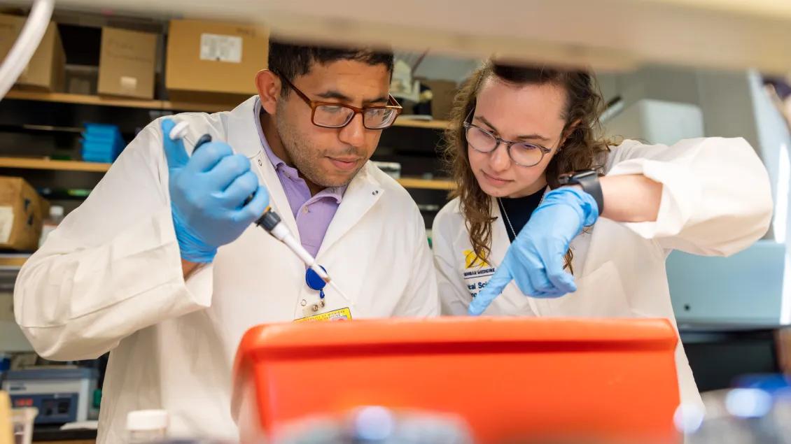 two people working in a lab