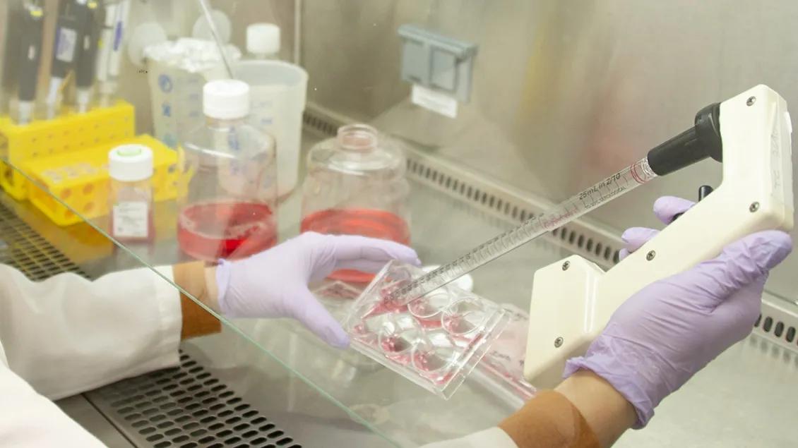 Person working in a lab