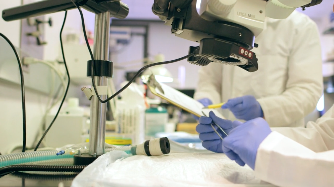 Students using lab equipment