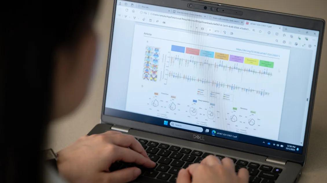 Researcher works on laptop