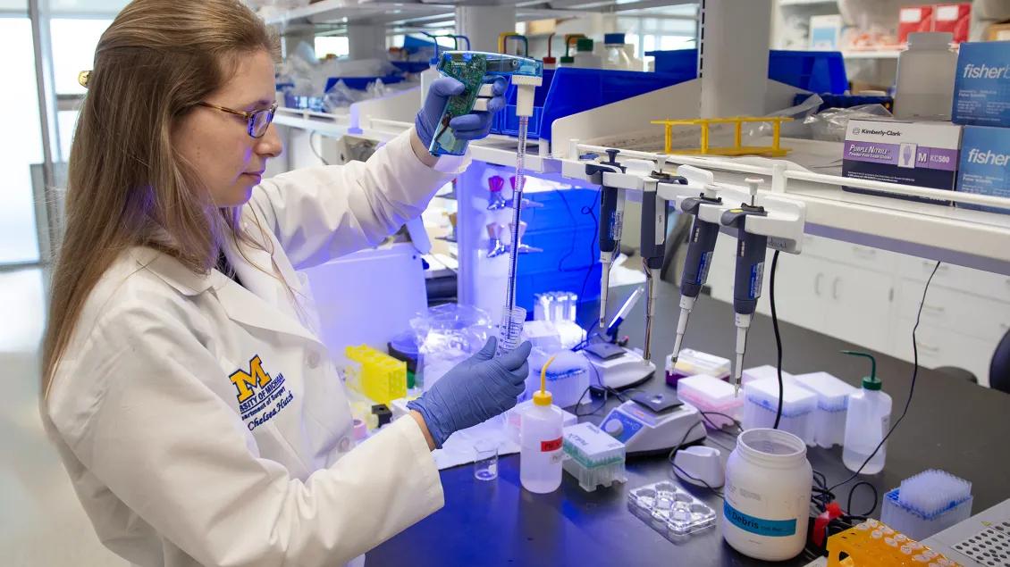 Lab personnel working in the lab