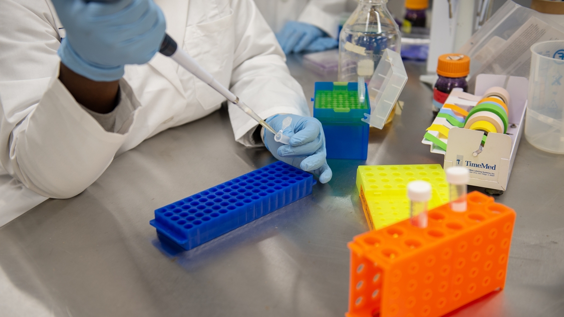 Lab personnel working in the lab