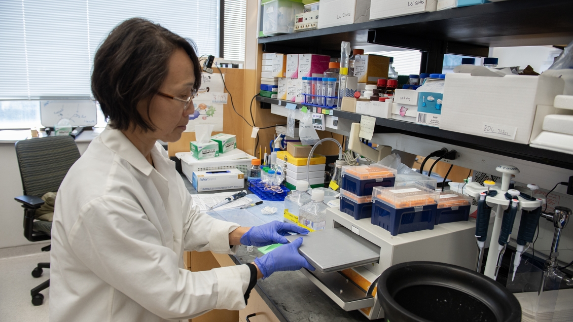Lab member working with equipment in the lab
