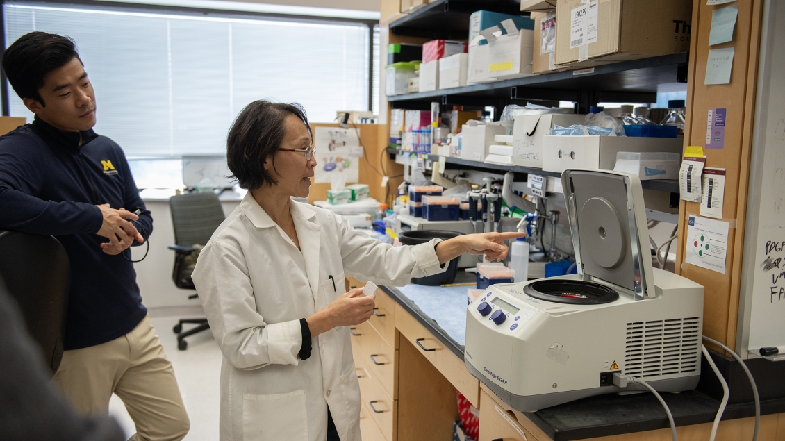 Lab personnel working in the lab with equipment