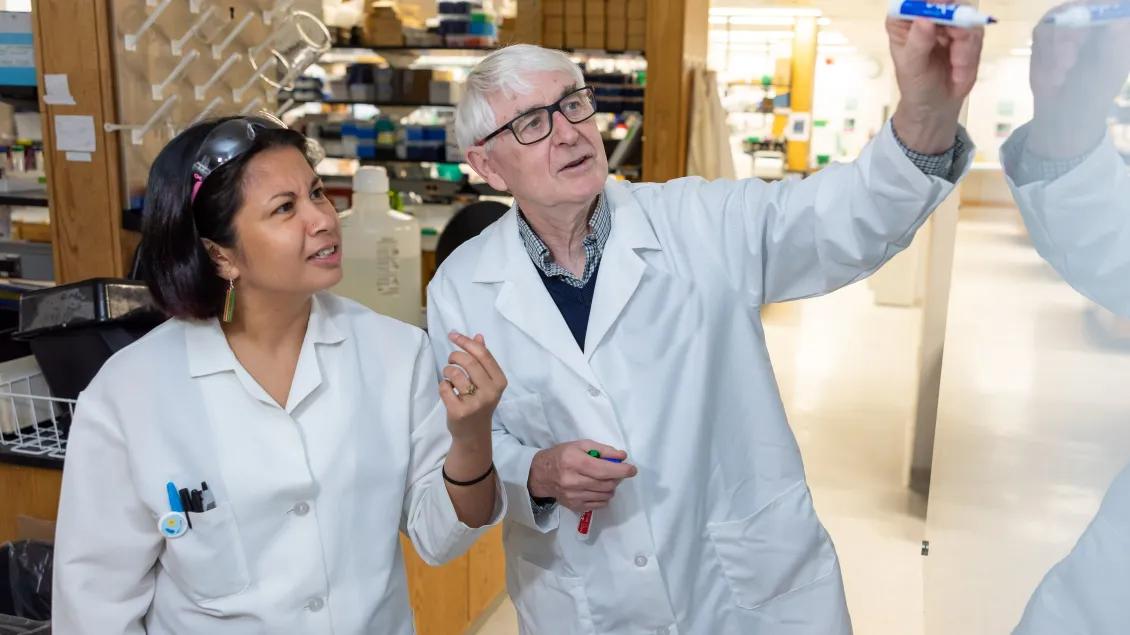 man and woman writing on whiteboard in research lab