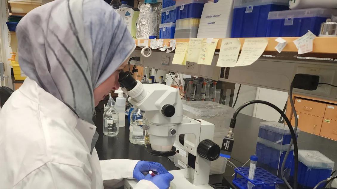 Lab member conducting research