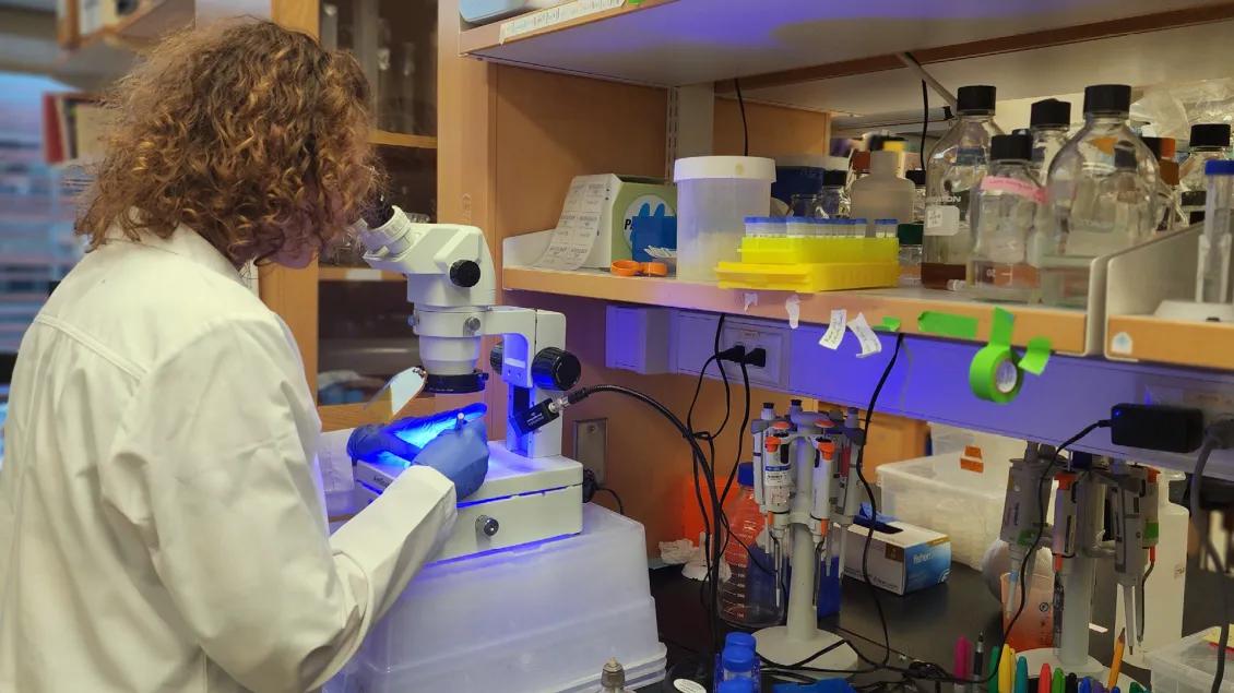 Lab member conducting research