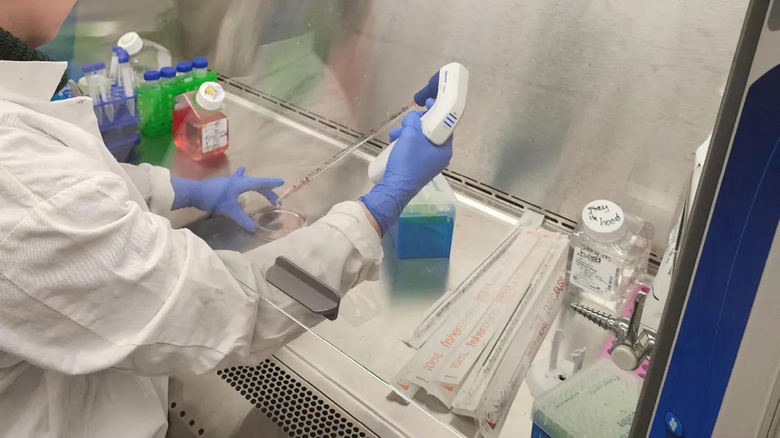 Lab member conducting research