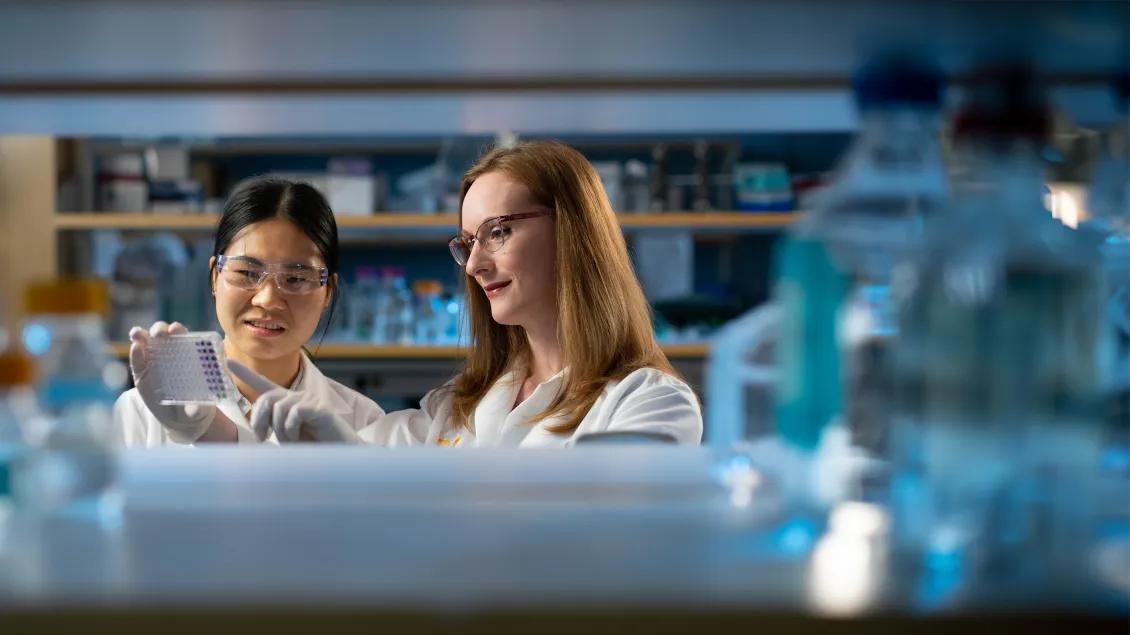 two researchers working in a lab