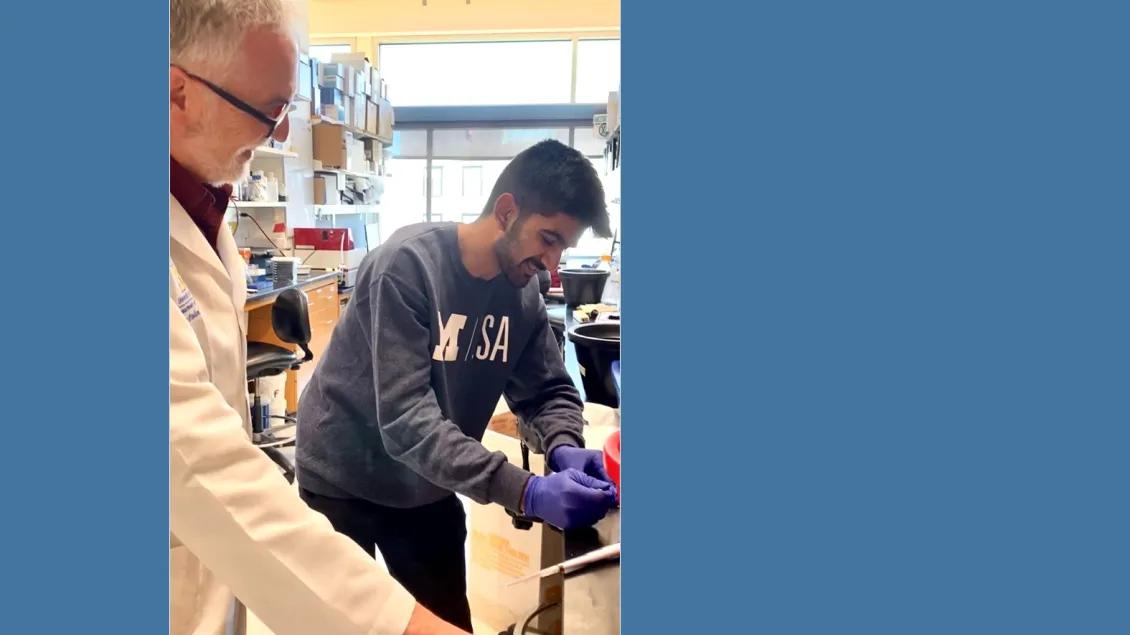 a young scientist working in a lab being overseen by a senior scientist wearing a white coat 