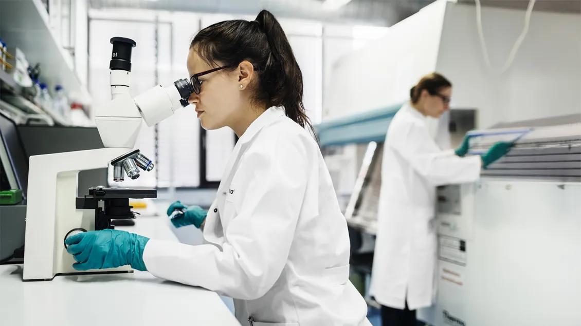 two researchers working in a lab