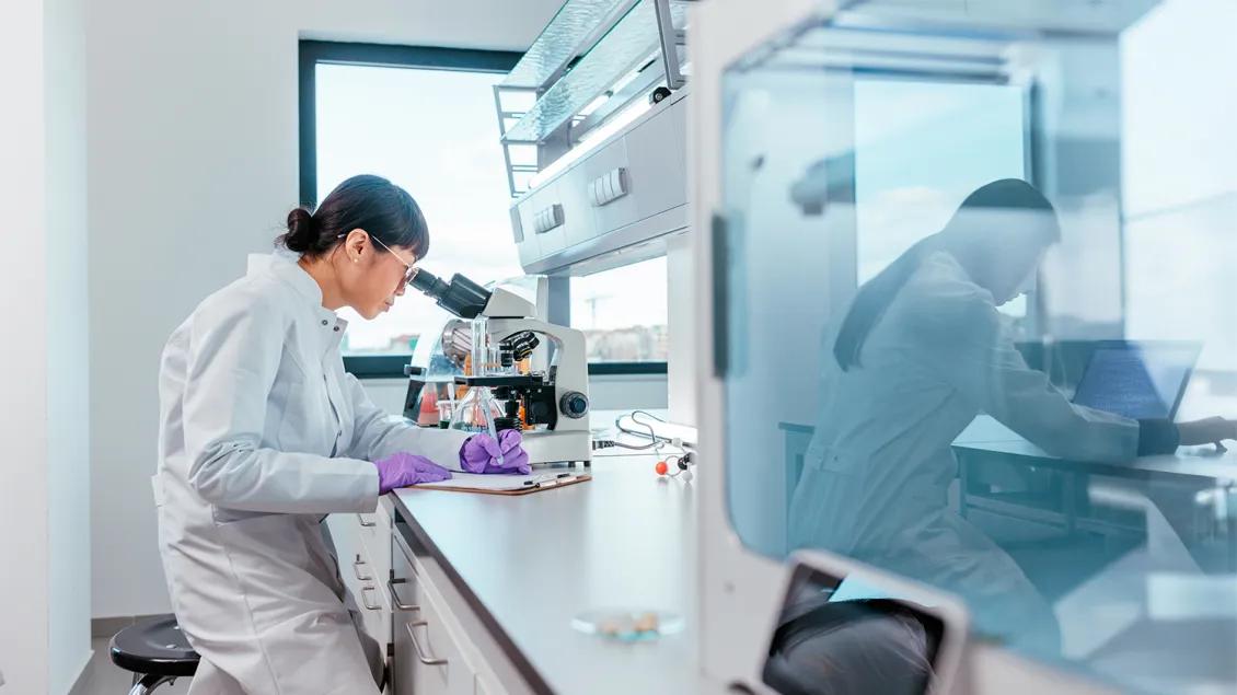 researcher working in lab looking into microscope