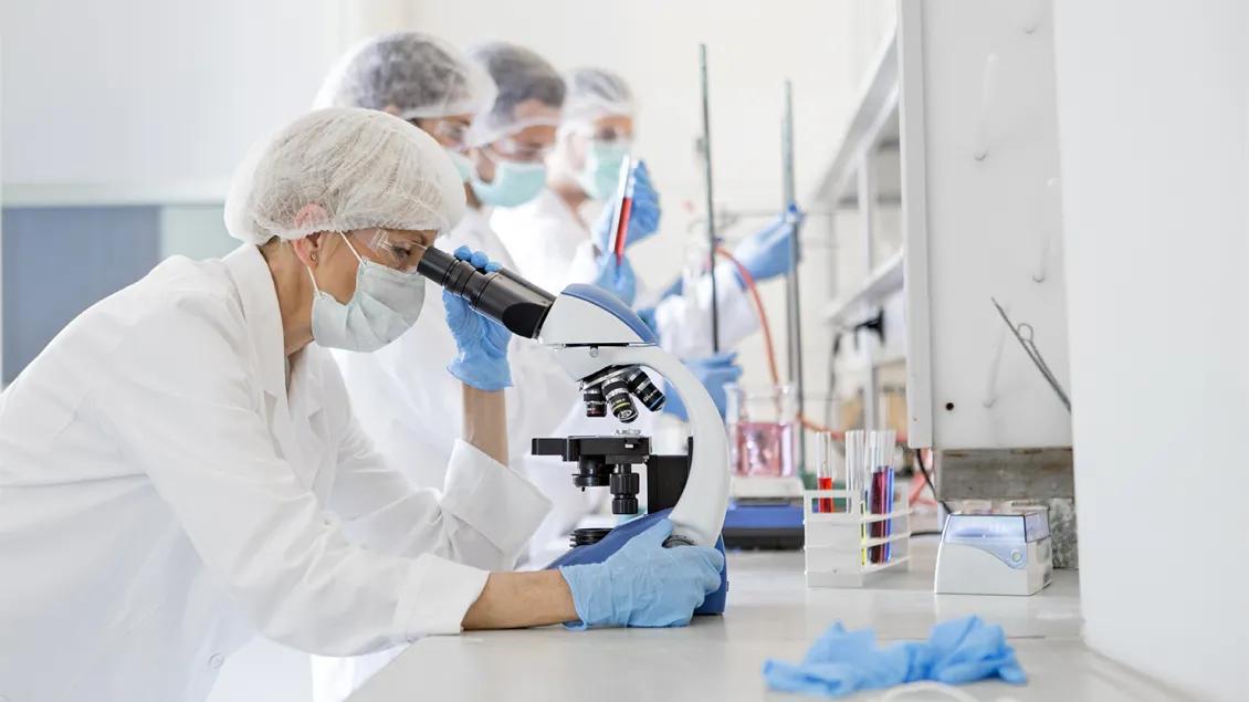 researchers working in lab