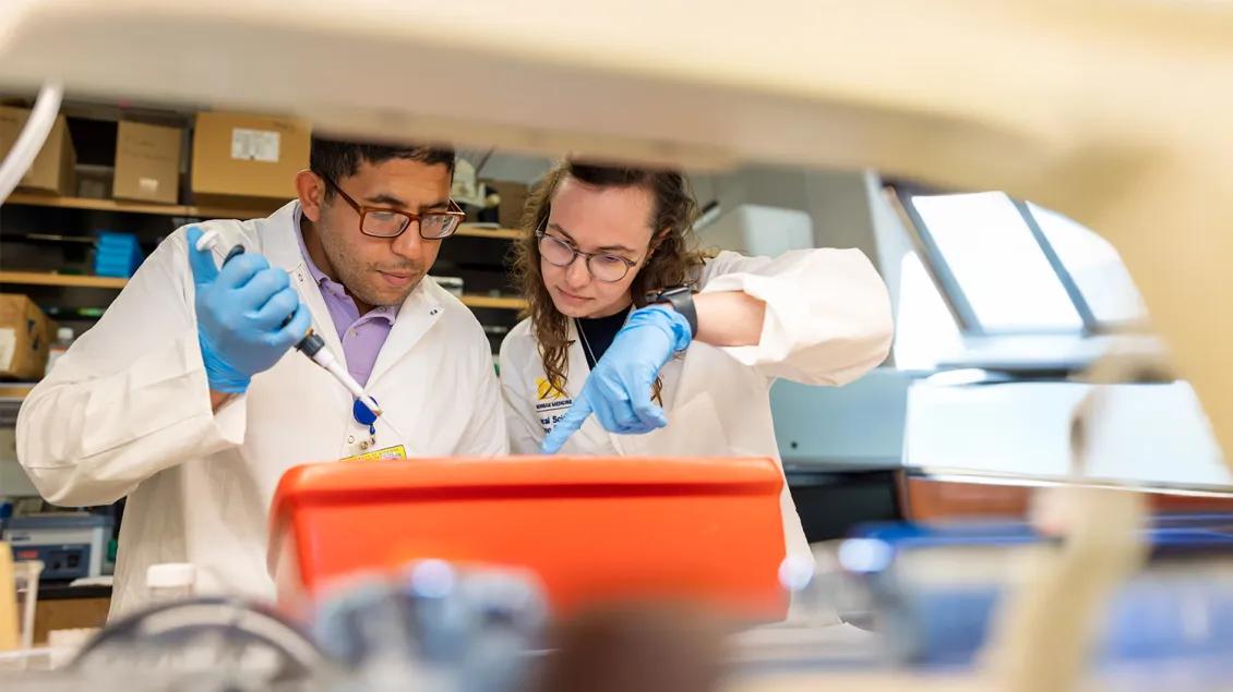 two researchers working in a lab