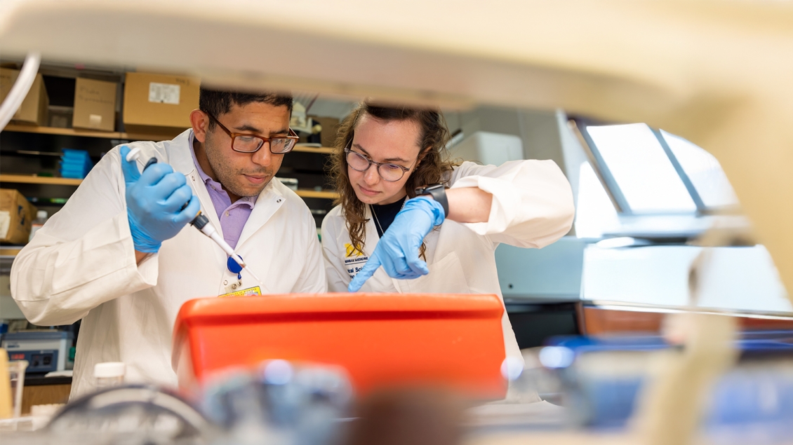 two researchers working in a lab